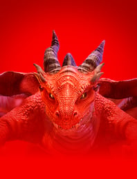 Dragon Hatch
