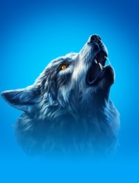 Young Wolf Song