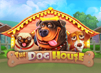 The Dog House