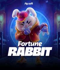 Fortune Rabbit